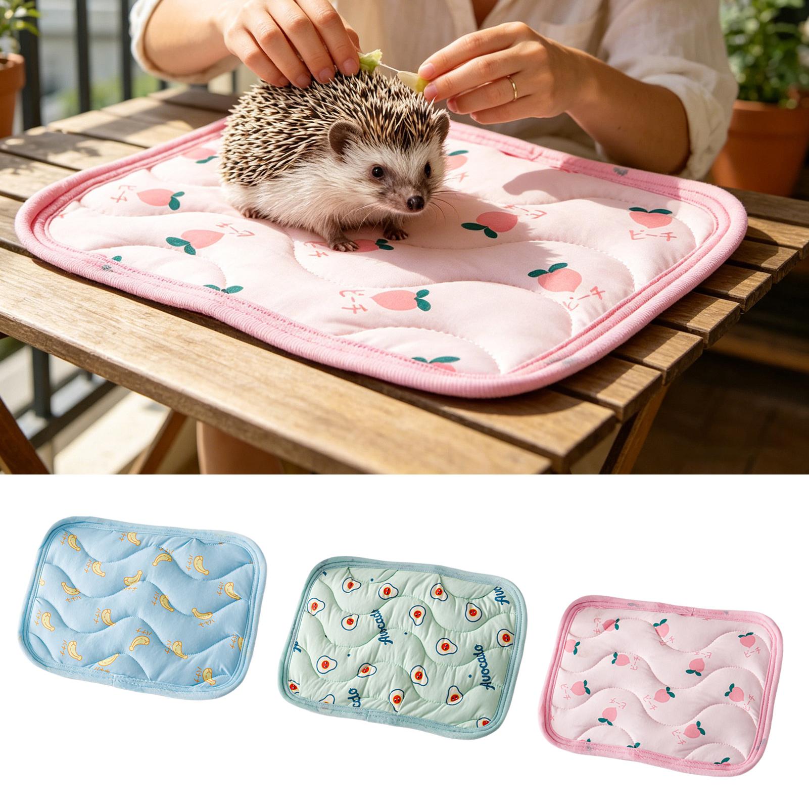 Mata chłodząca dla zwierząt, n – Outdoor Camping Dog Bed recenzja i cena