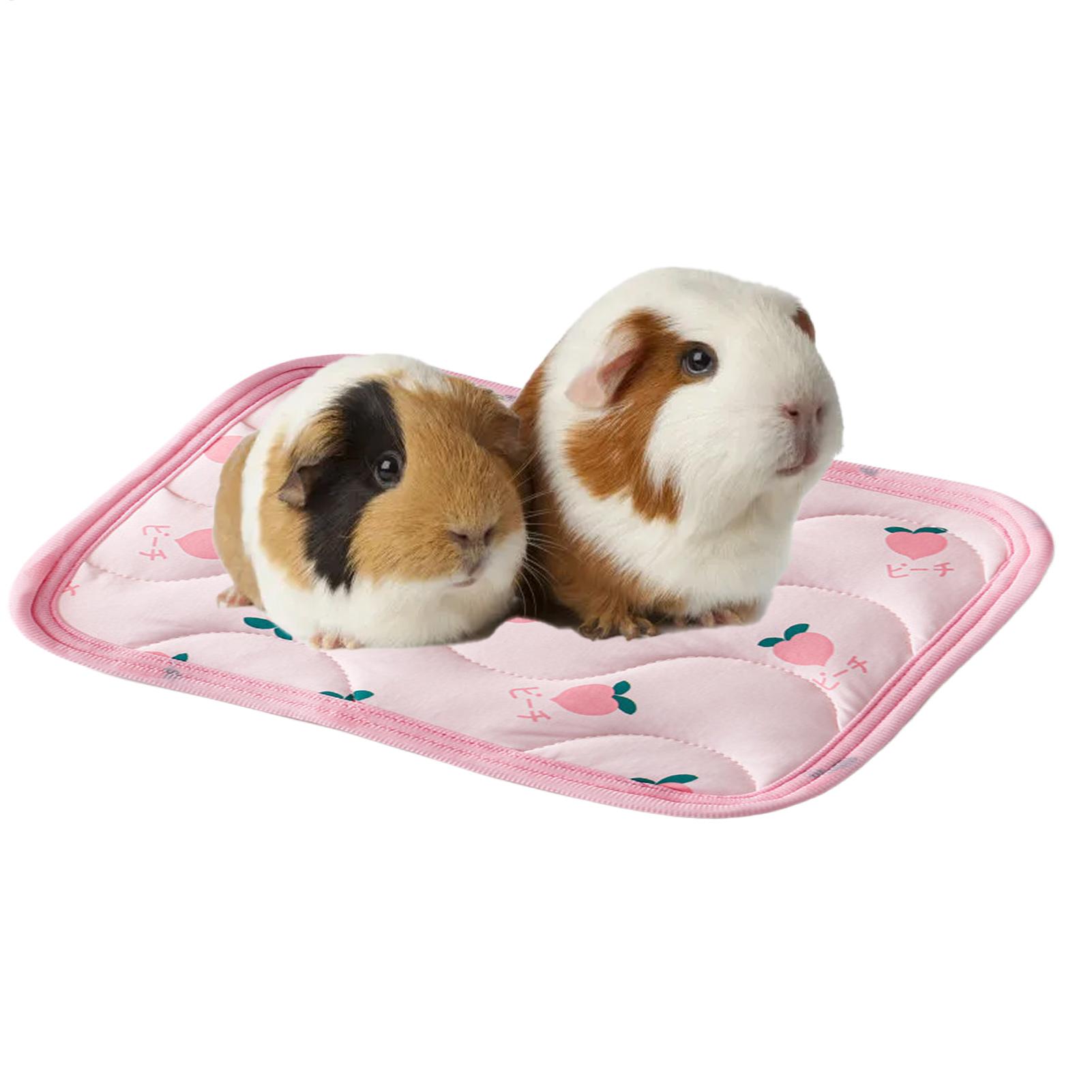 Mata chłodząca dla zwierząt, n – Outdoor Camping Dog Bed recenzja i cena