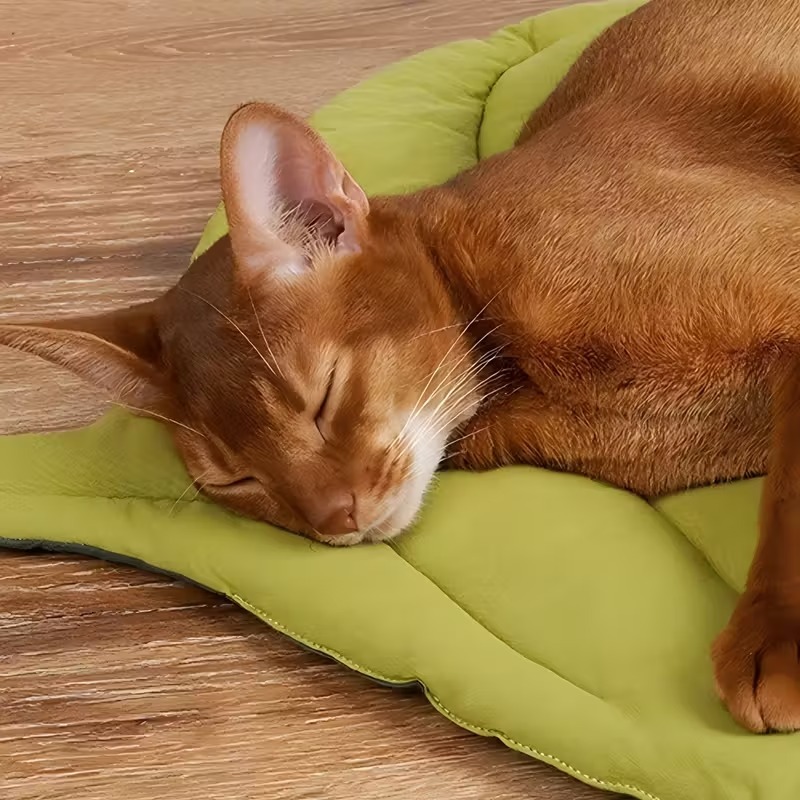 Dwustronna Miękka Poduszka dla – Outdoor Camping Dog Bed recenzja i cena