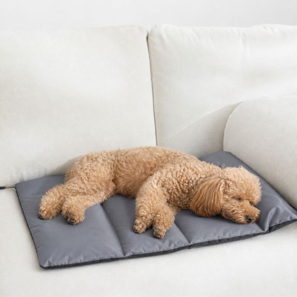 Składana Mata do Spania dla Zw – Outdoor Camping Dog Bed recenzja i cena