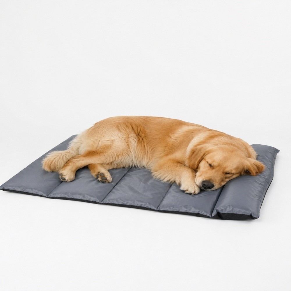 Składana Mata do Spania dla Zw – Outdoor Camping Dog Bed recenzja i cena