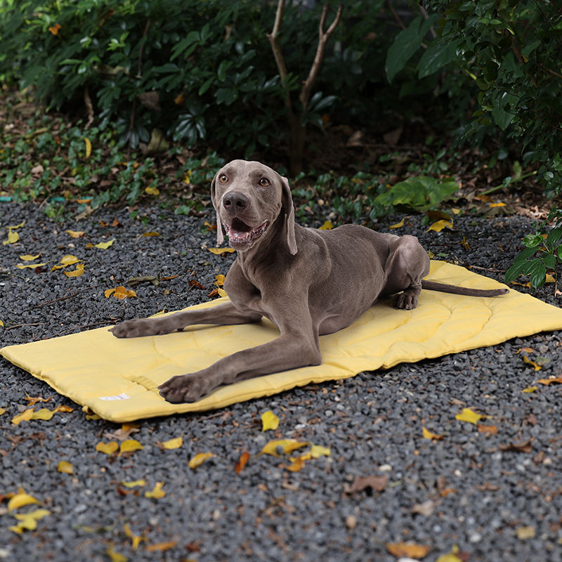 Przenośne mata dla zwierząt do – Outdoor Camping Dog Bed recenzja i cena