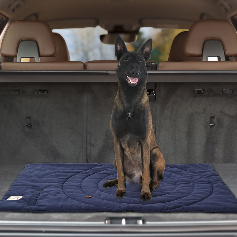 Przenośne mata dla zwierząt do – Outdoor Camping Dog Bed recenzja i cena