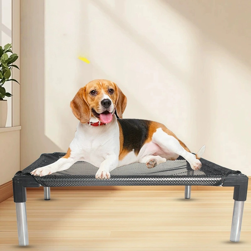 Chłodzące Podwyższone Legowisk – Outdoor Camping Dog Bed recenzja i cena